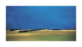 Rainy Skies-Dolors Curell-Stretched Canvas