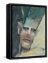 Dolph Eyes-Tim Nyberg-Framed Stretched Canvas