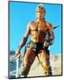 Dolph Lundgren - Masters of the Universe-null-Mounted Photo