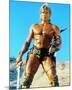 Dolph Lundgren - Masters of the Universe-null-Mounted Photo