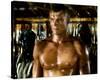 Dolph Lundgren - Red Scorpion-null-Stretched Canvas