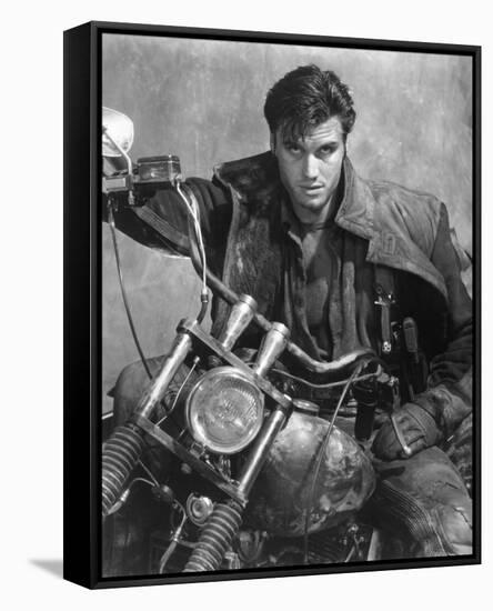 Dolph Lundgren-null-Framed Stretched Canvas