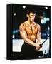 Dolph Lundgren-null-Framed Stretched Canvas