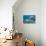 Dolphin and Turtle Underwater on Reef Background Looking at You-Andrea Izzotti-Stretched Canvas displayed on a wall