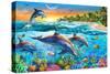 Dolphin Bay-Adrian Chesterman-Stretched Canvas
