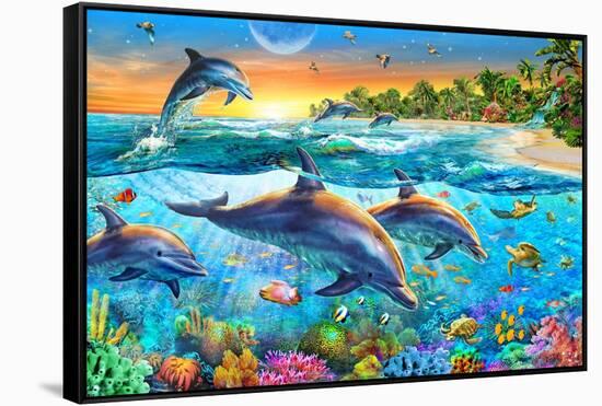 Dolphin Bay-Adrian Chesterman-Framed Stretched Canvas