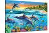 Dolphin Bay-Adrian Chesterman-Stretched Canvas