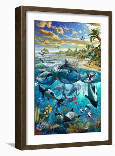 Dolphin Beach-Adrian Chesterman-Framed Art Print