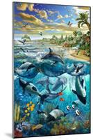 Dolphin Beach-Adrian Chesterman-Mounted Art Print