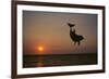 Dolphin Breaching the Oceans Surface-DLILLC-Framed Photographic Print