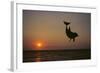 Dolphin Breaching the Oceans Surface-DLILLC-Framed Photographic Print