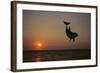 Dolphin Breaching the Oceans Surface-DLILLC-Framed Photographic Print