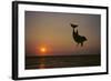 Dolphin Breaching the Oceans Surface-DLILLC-Framed Photographic Print