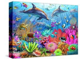 Dolphin Coral Reef-Adrian Chesterman-Stretched Canvas