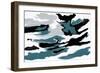 Dolphin Dance-Renel Peters-Framed Art Print