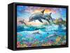 Dolphin Family-Adrian Chesterman-Framed Stretched Canvas