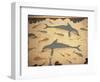 Dolphin Fresco, Knossos, Crete, Greece-James Green-Framed Photographic Print