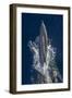 Dolphin Frolicking at the Surface.-Stephen Frink-Framed Photographic Print