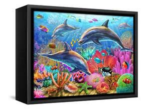 Dolphin Fun-Adrian Chesterman-Framed Stretched Canvas