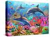 Dolphin Fun-Adrian Chesterman-Stretched Canvas