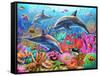 Dolphin Fun-Adrian Chesterman-Framed Stretched Canvas