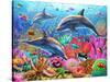 Dolphin Fun-Adrian Chesterman-Stretched Canvas