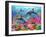 Dolphin Fun-Adrian Chesterman-Framed Art Print