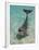 Dolphin in the Ocean, Roatan Island, Honduras-Keren Su-Framed Premium Photographic Print