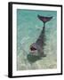 Dolphin in the Ocean, Roatan Island, Honduras-Keren Su-Framed Premium Photographic Print