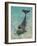 Dolphin in the Ocean, Roatan Island, Honduras-Keren Su-Framed Photographic Print