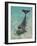 Dolphin in the Ocean, Roatan Island, Honduras-Keren Su-Framed Photographic Print