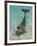 Dolphin in the Ocean, Roatan Island, Honduras-Keren Su-Framed Photographic Print