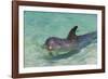 Dolphin in the Ocean, Roatan Island, Honduras-Keren Su-Framed Photographic Print