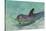 Dolphin in the Ocean, Roatan Island, Honduras-Keren Su-Stretched Canvas