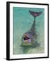 Dolphin in the Ocean, Roatan Island, Honduras-Keren Su-Framed Premium Photographic Print