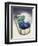 Dolphin in Wave-Harro Maass-Framed Premium Giclee Print