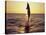 Dolphin Jumping from Water-Stuart Westmorland-Stretched Canvas