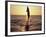 Dolphin Jumping from Water-Stuart Westmorland-Framed Photographic Print