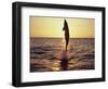 Dolphin Jumping from Water-Stuart Westmorland-Framed Photographic Print