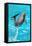 Dolphin Plays In Pool-Michal Bednarek-Framed Stretched Canvas