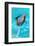 Dolphin Plays In Pool-Michal Bednarek-Framed Photographic Print