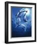 Dolphin Swing-Joh Naito-Framed Giclee Print