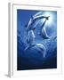 Dolphin Swing-Joh Naito-Framed Giclee Print