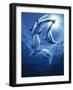 Dolphin Swing-Joh Naito-Framed Giclee Print