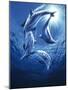 Dolphin Swing-Joh Naito-Mounted Giclee Print