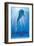 Dolphin Tale II-null-Framed Art Print