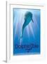 Dolphin Tale II-null-Framed Art Print