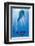 Dolphin Tale II-null-Framed Art Print