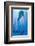 Dolphin Tale II-null-Framed Art Print