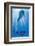 Dolphin Tale II-null-Framed Art Print